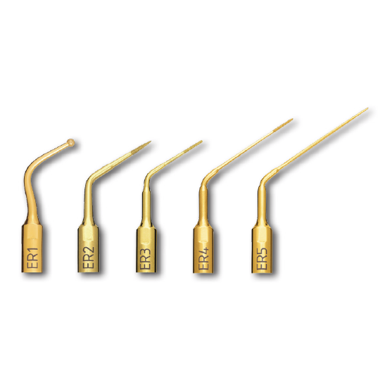 Inserti Endo Revision Mectron