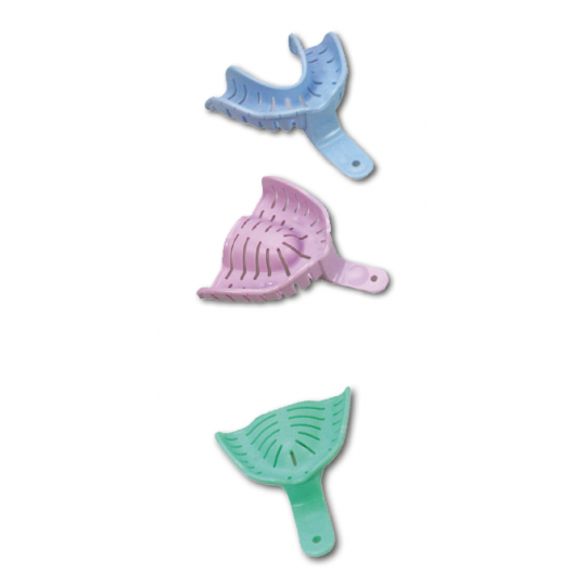 Portaimpronte Transform IDS...