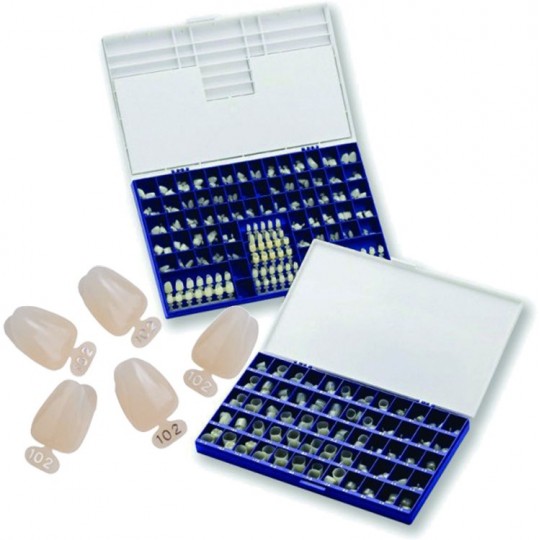 Corone in Policarbonato...