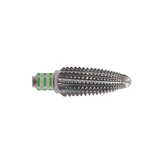 QSCN Dentatura Semplice con...