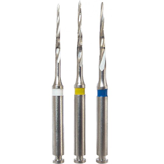 Anatomical Post Frese...